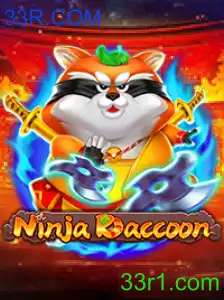 NinjaRaccoon